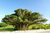 tkf001_798536