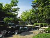 tkf001_798561