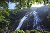 tkf001_798704
