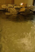 tkf001_798720
