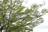 tkf001_798945