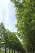 tkf001_801337