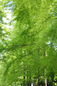 tkf001_801440