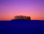 tkf001_801506