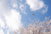 tkf001_802022