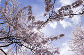 tkf001_806427