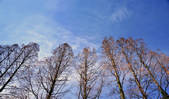 tkf001_806741