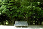 tkf001_806746