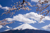 tkf001_806776