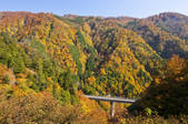 tkf001_806879