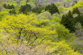 tkf001_806909