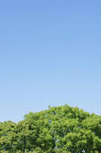 tkf001_806943