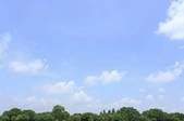 tkf001_806956