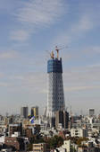 tkf001_816295