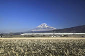 tkf001_820302