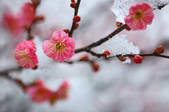tkf001_820310