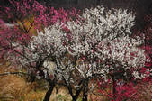 tkf001_820336