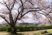 tkf001_821254