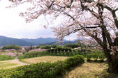 tkf001_821255