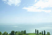 tkf001_822317