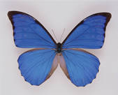 tkf001_823036