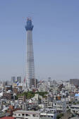 tkf001_823799