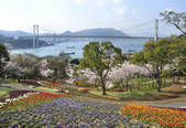 tkf001_825005