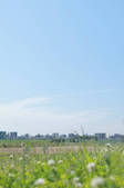 tkf001_826102