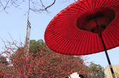 tkf001_826609