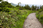 tkf001_828013