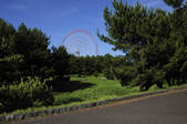 tkf001_829908