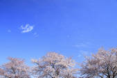 tkf001_829970