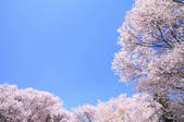 tkf001_829972