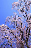 tkf001_829974