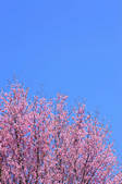 tkf001_829989