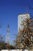tkf001_836050