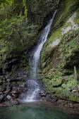 tkf001_836615