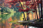 tkf001_463044