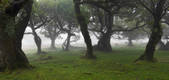 tkf001_493287