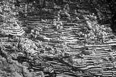 tkf001_509020