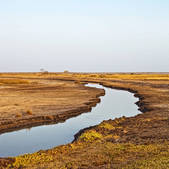 tkf001_510410