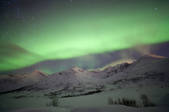 tkf001_511246