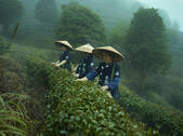 tkf001_512381