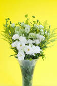 tkf001_552420