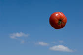 tkf001_553251