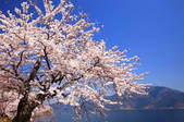 tkf001_553678