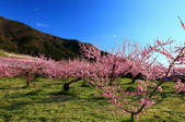 tkf001_555178