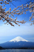tkf001_555245