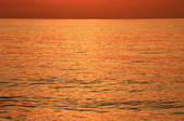 tkf001_555263