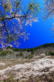 tkf001_555995